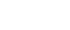 Cerebras