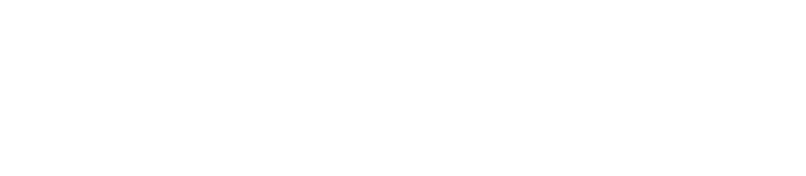 SambaNova